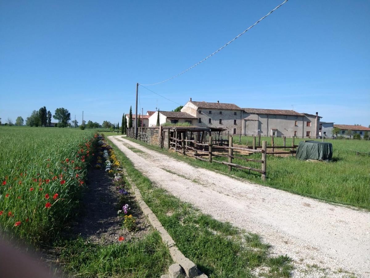 B&B Castel Goffredo San P 3 Luaran gambar