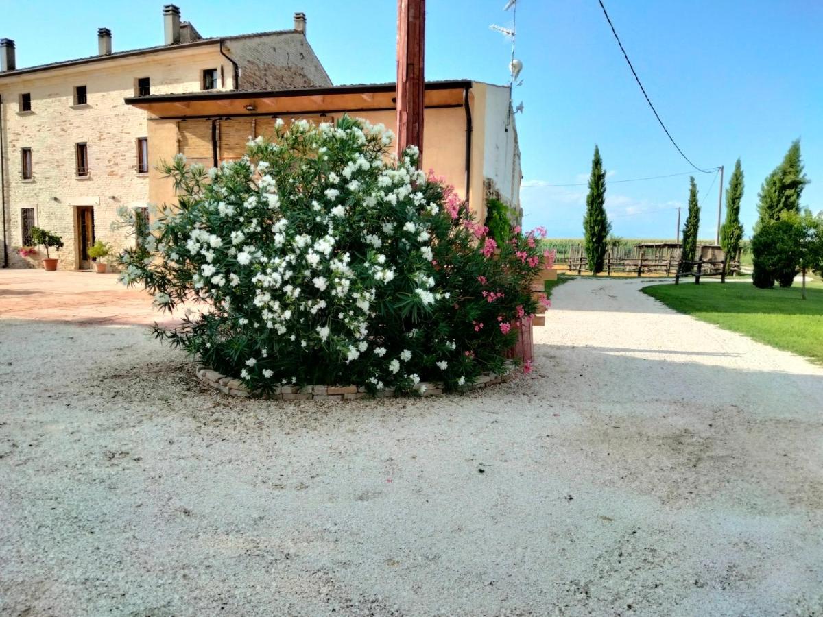 B&B Castel Goffredo San P 3 Luaran gambar