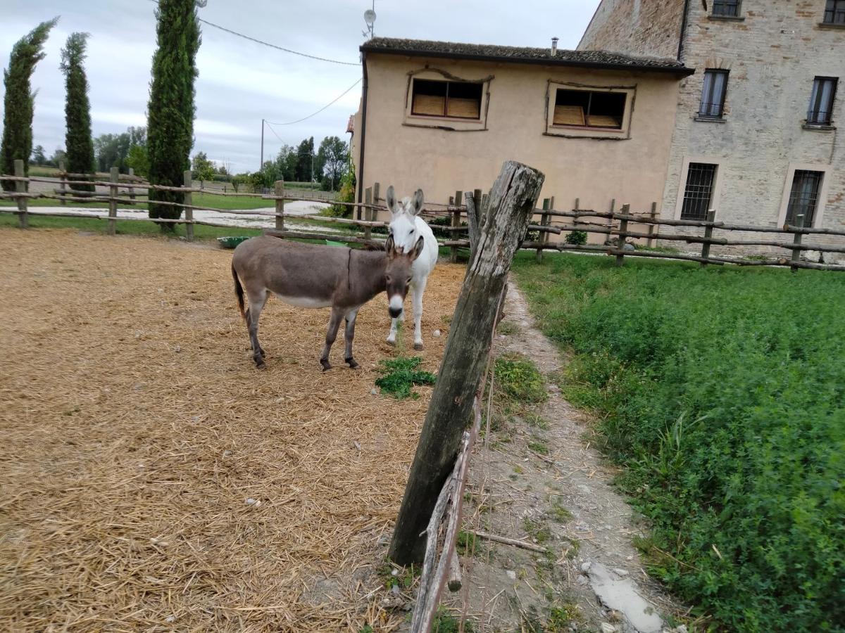 B&B Castel Goffredo San P 3 Luaran gambar