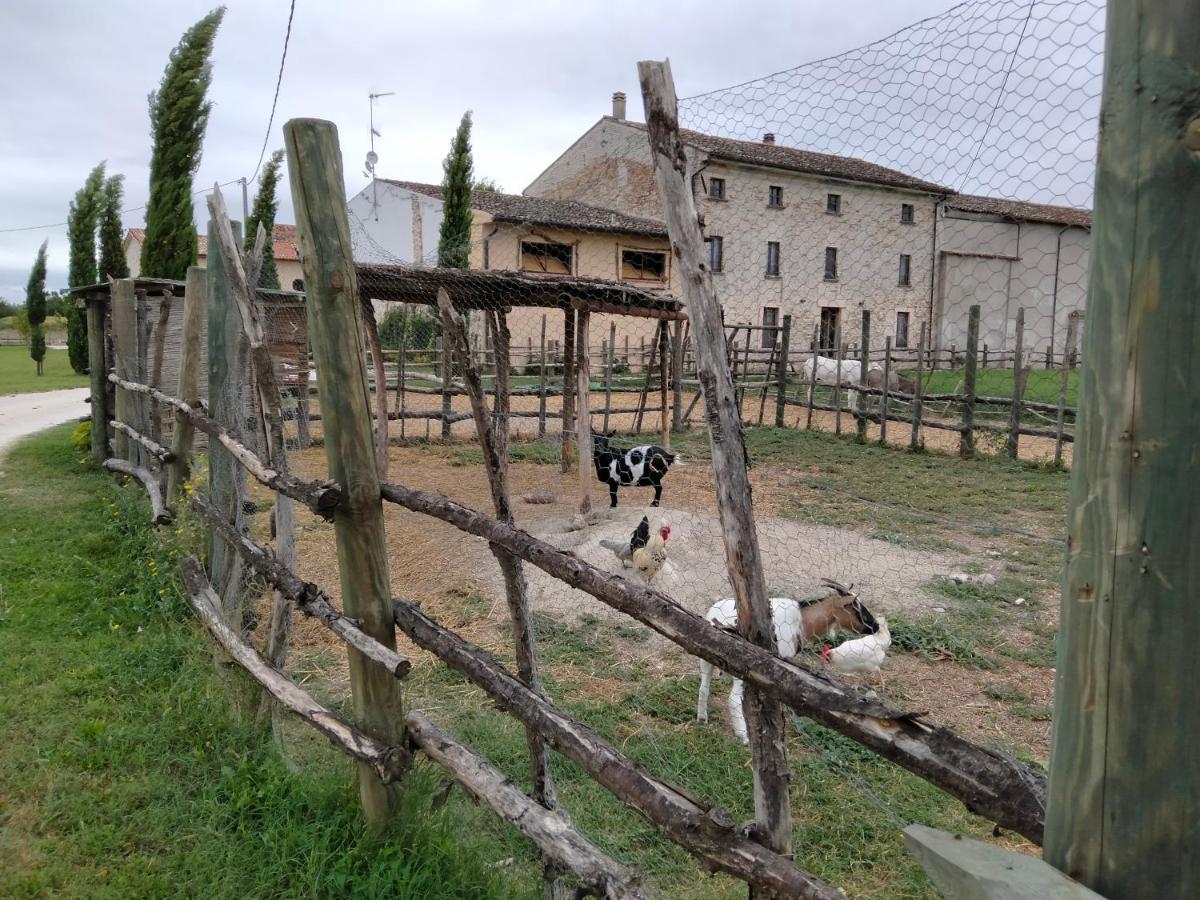 B&B Castel Goffredo San P 3 Luaran gambar